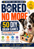 Bored No More